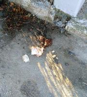 Σε σκουπιδότοπο μετατράπηκε το πάρκινγκ του Δημοτικού Camping Αλεξ/πολης (φωτογραφίες)