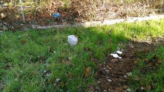 Σε σκουπιδότοπο μετατράπηκε το πάρκινγκ του Δημοτικού Camping Αλεξ/πολης (φωτογραφίες)