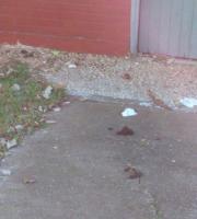 Σε σκουπιδότοπο μετατράπηκε το πάρκινγκ του Δημοτικού Camping Αλεξ/πολης (φωτογραφίες)