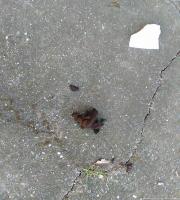 Σε σκουπιδότοπο μετατράπηκε το πάρκινγκ του Δημοτικού Camping Αλεξ/πολης (φωτογραφίες)