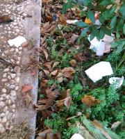 Σε σκουπιδότοπο μετατράπηκε το πάρκινγκ του Δημοτικού Camping Αλεξ/πολης (φωτογραφίες)