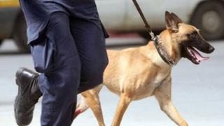Αστυνομικός σκύλος ξετρύπωσε τα ναρκωτικά από το σπίτι 41χρονου στη Σαμοθράκη