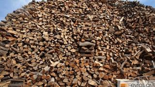 Γ. Αμυράς: «Δωρεάν καυσόξυλα στους κατοίκους ορεινών περιοχών»