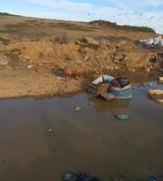 Εικόνες ΣΟΚ στη χωματερή της Αλεξ/πολης με γουρούνια να τρώνε σκουπίδια