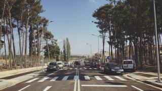 Η ομάδα πολιτών ”Πάρκο να γίνει”, προσπαθεί να σώσει τα δασύλλια στην Αλεξανδρούπολη