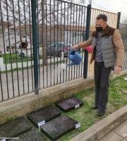 Πρόγραμμα Σχολικών Κήπων στο 2ο Δημοτικό Σχολείο Φερών