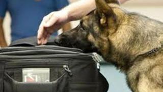 Συνελήφθησαν δύο γυναίκες για κάνναβη στην Αλεξανδρούπολη
