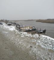 Φωτογραφία από το Δέλτα του Έβρου.