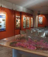 Με προορισμό το δάσος της Δαδιάς.