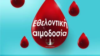 Εθελοντική αιμοδοσία στη Δημοτική Πινακοθήκη Αλεξανδρούπολης