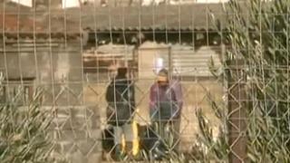 Αλεξ/πολη: Στα όριά τους οι εθελοντές του καταφυγίου αδέσποτων.