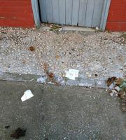 Σε σκουπιδότοπο μετατράπηκε το πάρκινγκ του Δημοτικού Camping Αλεξ/πολης (φωτογραφίες)