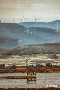 "Μια διαφορετική εικόνα στο Δέλτα του Έβρου".