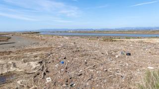 Θλιβερές εικόνες στο Δέλτα του Έβρου – Σκουπίδια και φερτά υλικά «πνίγουν» τη λιμνοθάλασσα "Δράνα"