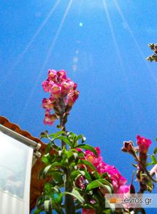 Καλώς μας ήρθες Άνοιξη με τις ομορφιές σου!