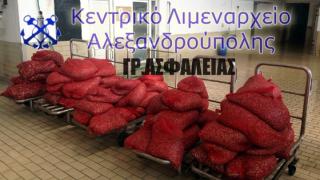 47χρονος μετέφερε 70 σάκους με ακατάλληλα για κατανάλωση  όστρακα.