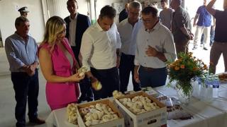 Βύσσα: Στον Αγροτικό Συνεταιρισμό Σκόρδου συνόδευσε τον Κ. Μητσοτάκη η Χρ. Μπαχαρίδου