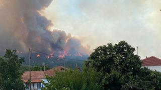 Συναγερμός στην Πυροσβεστική: Πυρκαγιά στη Λύρα Έβρου, στη Δαδιά (φωτο + video)