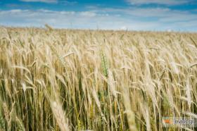Έτσι, γιατί το καλοκαίρι είναι ωραία!