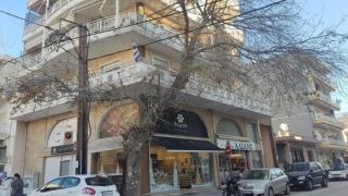 Οικολογική Εταιρεία Έβρου: "Να παρέμβει ο εισαγγελέας για να σωθεί ο πλάτανος"