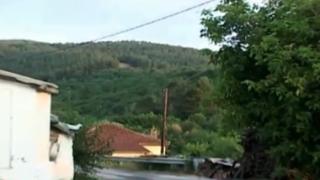 'Εν ψυχρώ δολοφονία' αδέσποτου σκύλου με καραμπίνα.