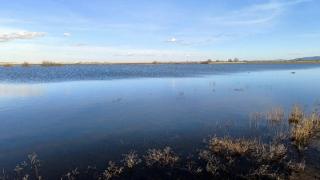 Κίνητρα για να μην ερημώσει η ύπαιθρος του Έβρου ζητάνε οι αγρότες