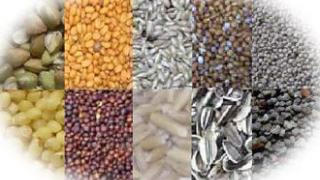 'Τράπεζα Γενετικού Υλικού' για δεύτερη χρονιά στη Σαμοθράκη.