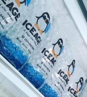 Buz üretimi ve satışı yapan imalathane