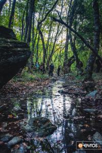 Kirki'de bir peri masalı yolunda