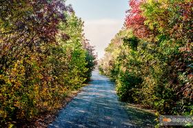 Οργιάζουσα φύση βόρεια της Λευκίμης Έβρου.