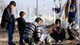 Κουίκ: Δεν θα δημιουργηθεί κέντρο υποδοχής προσφύγων στον Έβρο.