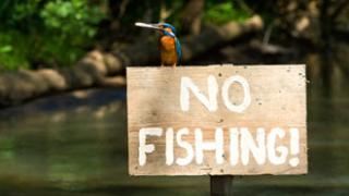 Έβρος: Απαγορεύεται η αλιεία με καθε μέσο για 45 ημέρες.