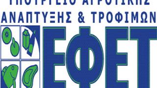 Aνακλήθηκαν νοθευμένα ελαιόλαδα από τον ΕΦΕΤ.