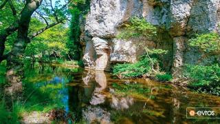 ΕΛΑΣ: Αστυνόμευση περιοχών Natura, δασών & αλσών λόγω υψηλού κινδύνου πυρκαγιάς