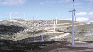 Εννέα περιβαλλοντικές οργανώσεις ζητούν άμεσα μέτρα για τους αιολικούς σταθμούς σε Έβρο & Ροδόπη