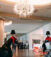 Φωτογραφικές... "αλήθειες" από τo TedX Alexandroupolis 2017