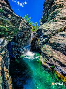 Hafta 17 - 23 Temmuz