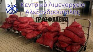 Αλεξ/πολη: 35χρονος μετέφερε 59 σάκους με ακατάλληλα για κατανάλωση όστρακα.
