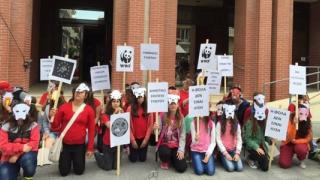 Αλεξ/πολη: Διαμαρτυρία μαθητών για τις φόλες.