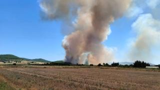 Φωτιά ξέσπασε σε δασική έκταση στο Αρίστηνο του δήμου Αλεξανδρούπολης (video)