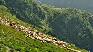 Το 15ο Διεθνές Συνέδριο του υποδικτύου των FAO–CIHEAM για τους βοσκότοπους στην Ορεστιάδα
