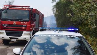 Καταδίωξη μέσα στα καμένα - Συνελήφθη λαθροδιακινητής 