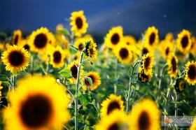 Για κάτι τέτοιες εικόνες μας αρέσει το καλοκαιράκι!