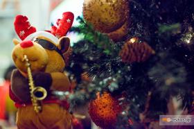 Ήρθαν τα Χριστούγεννα και η Πρωτοχρονιά!