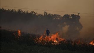Μητσοτάκης για νεκρούς στη Δαδιά: Δεν έπρεπε να βρίσκονται σε δάσος, να αναρωτηθούμε ποιοι τους πήγαν εκεί