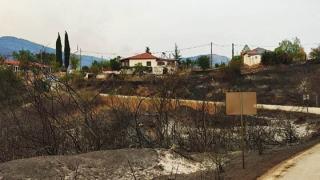 Πρόεδρος του Πολιτιστικού Συλλόγου Κίρκης: Προτάσεις για την ανασυγκρότηση της Κίρκης