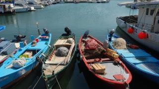Αλεξανδρούπολη: Συνελήφθη ψαράς για απείθεια - Ακινητοποιήθηκε μετά από καταδίωξη