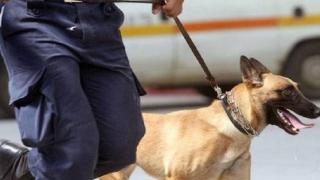 Σαμοθράκη: Επιβάτης του πλοίου συνελήφθη με ηρωίνη, κοκαΐνη & χάπια έκσταση (ecstasy)
