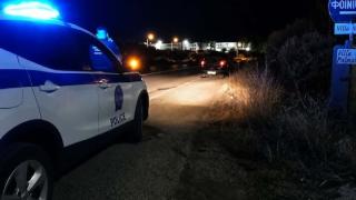 Αλεξανδρούπολη: Κοπάδι αγριόχοιρων προκάλεσε τροχαίο