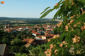 Yüksekten Dadia köyü.